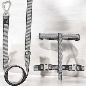 PET LIFE 'Escapade' Outdoor Series 2-in-1 Convertible Dog Leash and Collar